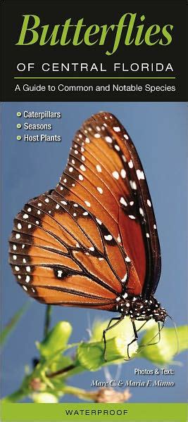 Butterflies of central florida a guide to common notable species. - Príncipe rosa cruz e seus mistérios.