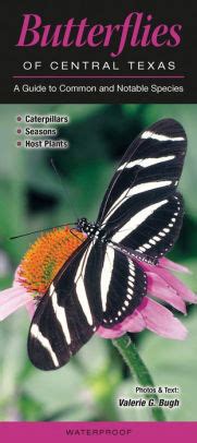 Butterflies of central texas a guide to common notable species. - W815 mercury 90hp sport jet 120hp sport jet 1993 1995 clymer repair manual.