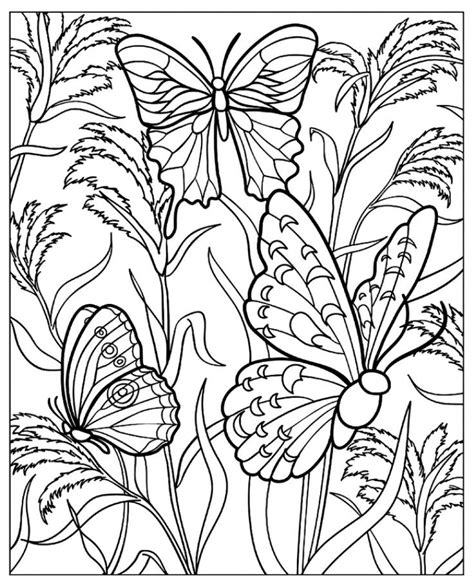 Butterfly Adult Coloring Pages