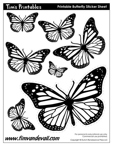 Butterfly Black And White Printable