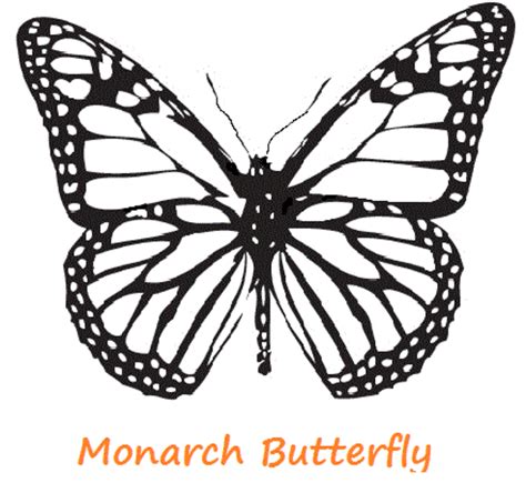 Butterfly Coloring Pages HubPages