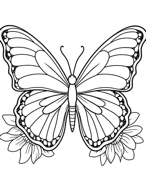 Butterfly Coloring Pictures To Prin