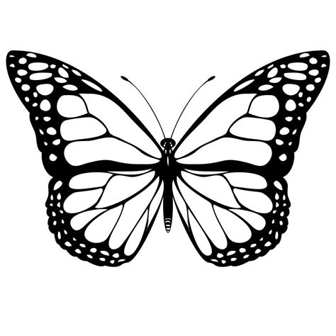 Butterfly Drawing Printable