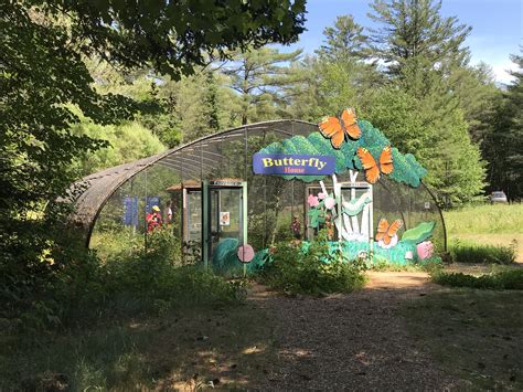 Butterfly House celebrating 25th anniversary with three events this month