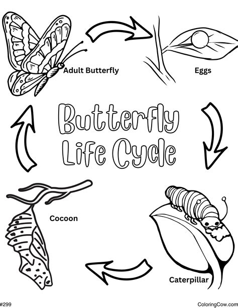 Butterfly Life Cycle Coloring Shee