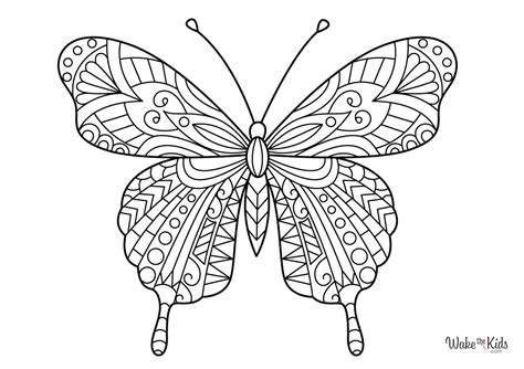 Butterfly Mandala Coloring