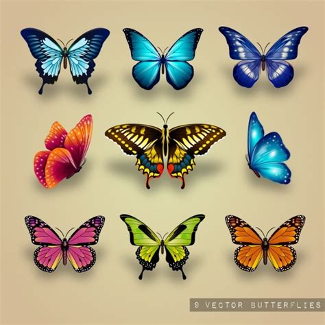 Butterfly Painting Images - Free Download on Freepik