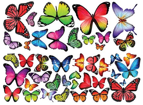 Butterfly Stickers - Walmart