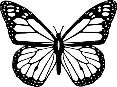 Butterfly black and white clip art. Things To Know About Butterfly black and white clip art. 