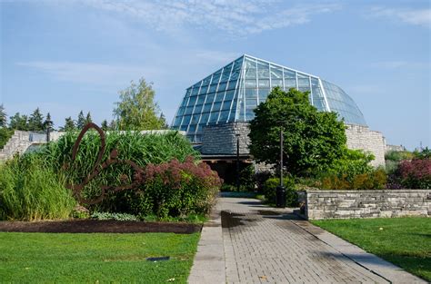 Butterfly conservatory niagara. Things To Know About Butterfly conservatory niagara. 