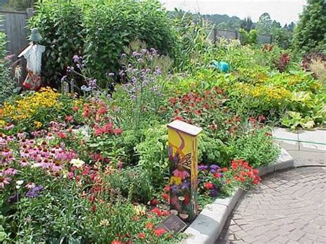 Butterfly garden ideas. Butterfly Conservation give their top ten butterflies to spot in UK gardens. 
