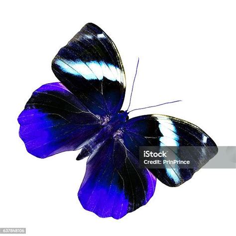 codini.rgarabwor.edu.pl. 