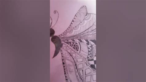 🍆 Butterfly1_8_ Onlyfans Leaked [SEX VIDEO]