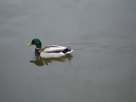 Butterflybesos Leaked PORN 🍆 86 Pics