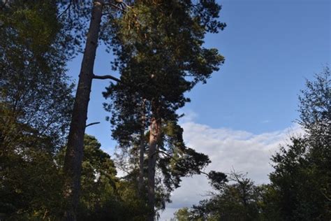 🔥 Butterflyblondy Onlyfans Leaked [CLIP]