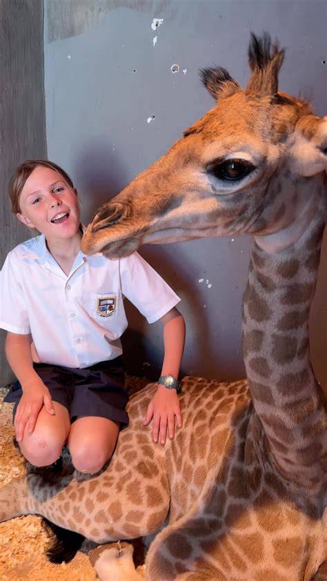 Butternut Giraffe Xxx Video