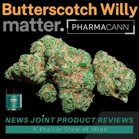Image courtesy of Verilife. You deserve a treat this 420, and one of the most indulgent strains around is Butterscotch Willy from matter. With a pedigree including some of the most sweet-hearted strains in all of the cannabis world, Tropicana Cookies, Banana OG, and Papaya, Butterscotch Willy is so devilishly tasty you’ll feel guilty …. 