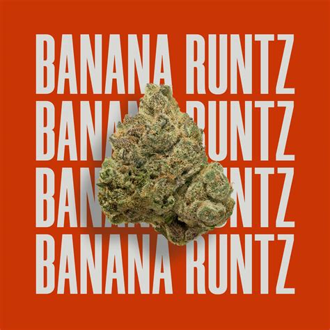 Buy Banana Runtz - CANNABIS SUPPLY SHOP