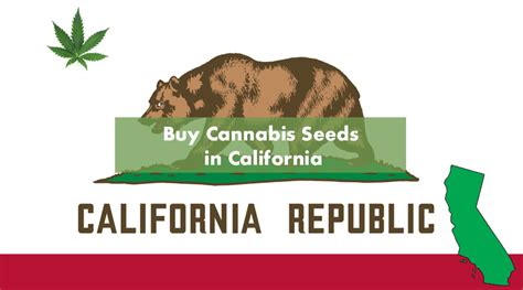 Buy Cannabis Seeds in Lennox, California, 90304