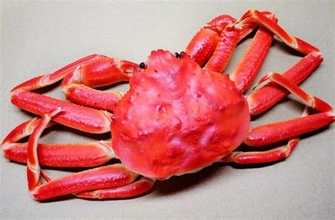 Buy For Quality and Avoid Cheap Snow Crab Legs