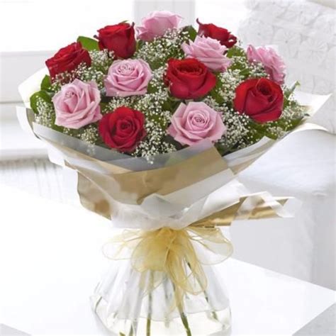 Buy Fresh Roses Toronto FREE Delivery - Bloomen