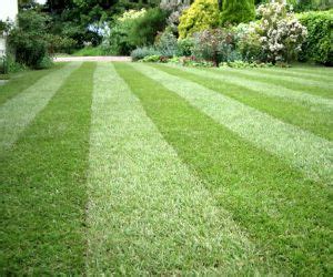 Buy Lawn Care Insurance Missouri Online - Compare Quotes