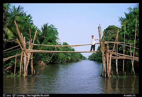 Buy Monkey Bridge Book Online at Low Prices in India - Amazon