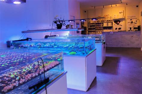 Buy Pet Fish Shop Near Me UP TO 58% OFF