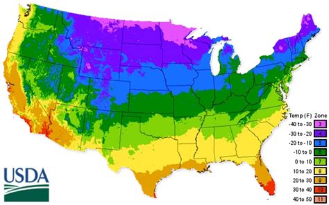 Buy The Best Trees That Will Grow In USDA Planting Zone 8