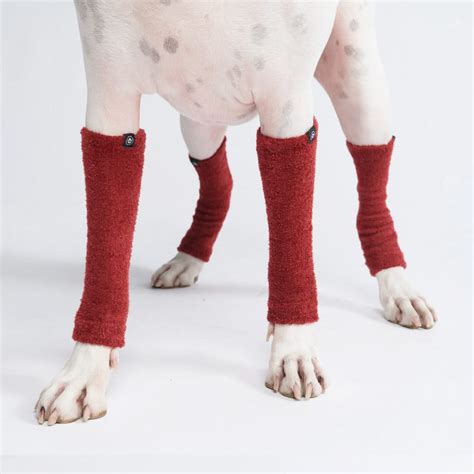 Buy Today Protection Leg Sleeves for Your Dog