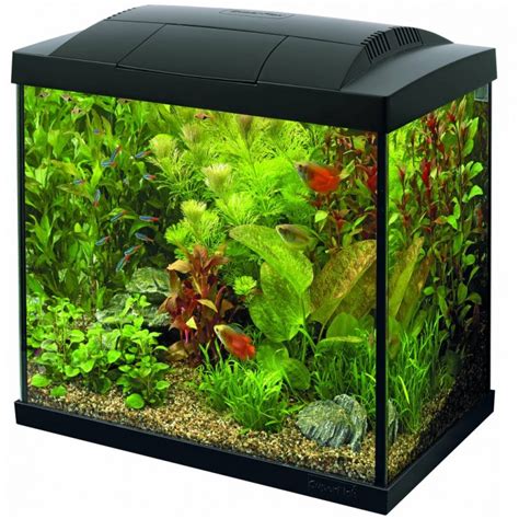 Buy Tropical Aquarium Kits Online Uk Stores Price Promise