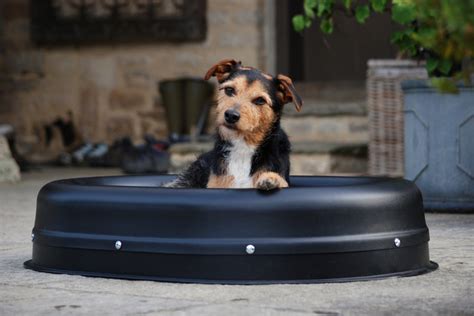 Buy Unchewable Dog Beds UK Online - Tuffies