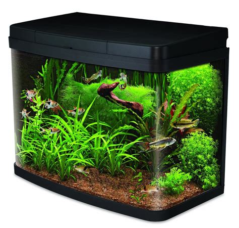 Buy aquarium fish & supplies Aquatic Supplies Wales