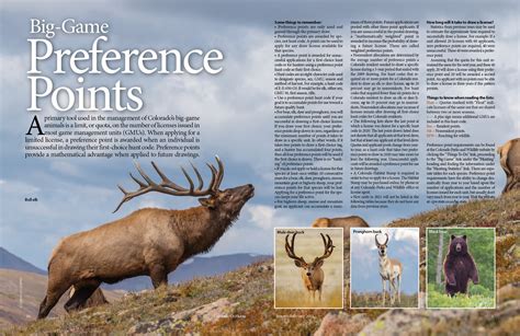 Buy colorado elk preference points. Maybe it’s time to cash them in! We offer hunts in unit 61, one of Colorado’s premier hunting destinations. If you’re a nonresident with more than 21 preference points for elk or more than eight preference points for mule deer, please give us a call at 208-691-3014 or send us a message to discuss your options. Applying for Big Game in ... 