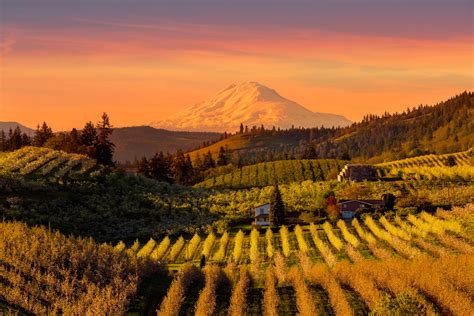 Buy land in oregon. Things To Know About Buy land in oregon. 
