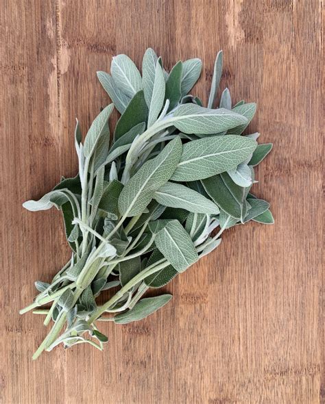 Buy sage. Things To Know About Buy sage. 