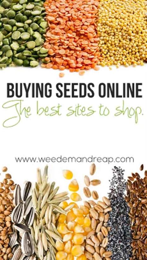 Buy seeds online. 15 Jan 2021 ... 5 Best Places to Buy Seeds Online. 