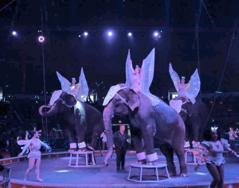 Buy tickets – Fort Worth Shrine Circus 2024 - Ticket Tailor