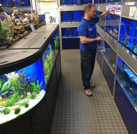 Buy tropical fish in London Woodford Aquatics