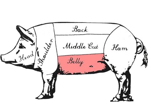 Buying (Going Long) Pork Bellies Futures to Profit from a Rise in Pork …