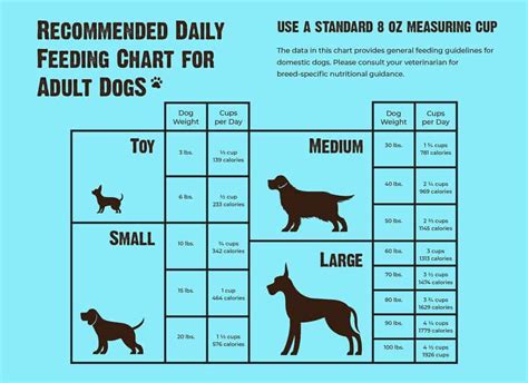 Buying Guide To Dog Food Pet Better with Pet Circle