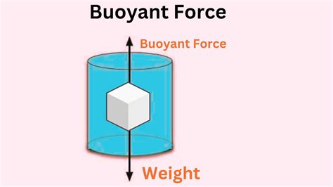 Buoyancy (also known as the buoyant force) is the force exerted on an object that is wholly or partly immersed in a fluid. The symbol for the magnitude of buoyancy is B or FB. As a vector it must be stated with both magnitude and direction. Buoyancy acts upward for the kind of situations encountered in everyday experience.