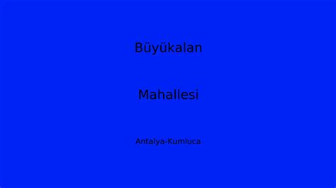 Buyukalan Halı ve Koltuk Yıkama