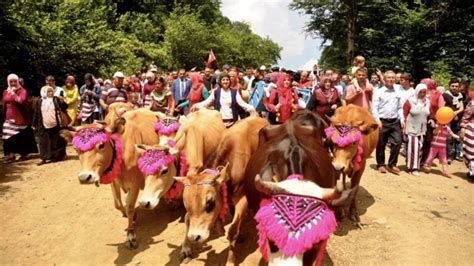 Buyukoba Halı ve Koltuk Yıkama