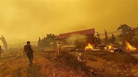 Buyuksurmeli Halı ve Koltuk Yıkama