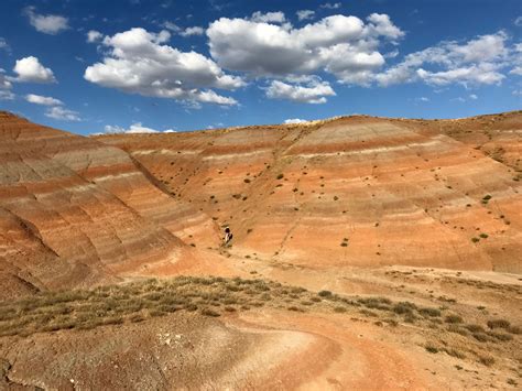 Buyukteflek Halı ve Koltuk Yıkama