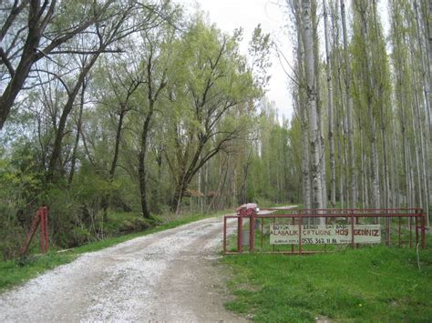 Buyukzengi Halı ve Koltuk Yıkama