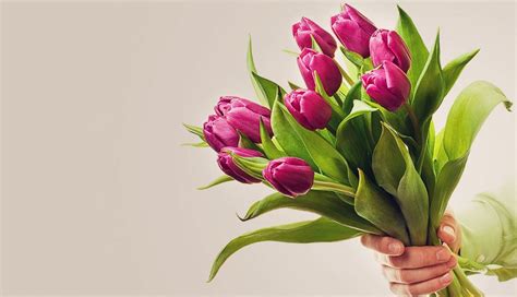 Buzard funeral home.  Wayne St.  Offer condolences/tributes, send flowers ...