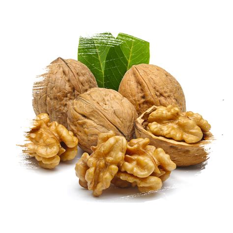 Buzludere Halı ve Koltuk Yıkama