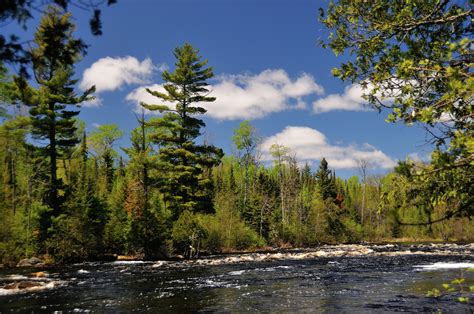 Bwca minnesota. The BWCA, or Boundary Waters Canoe Area Wilderness, offers endless options for exploration with thousands of miles of canoe and portage trails. This pristine 1 million-acre wilderness extends from Ely, Minnesota up to the Canadian border and across to Lake Superior. If you’re looking for anything from a peaceful paddle to a multi-mile trip ... 
